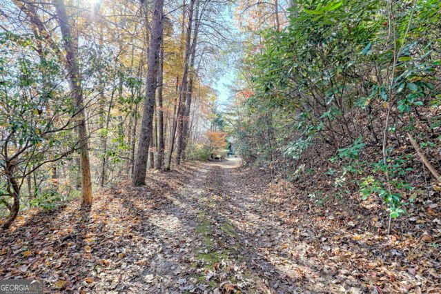 117 Avalon Street Clayton - 67