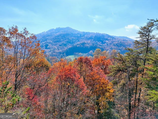 117 Avalon Street Clayton - 70