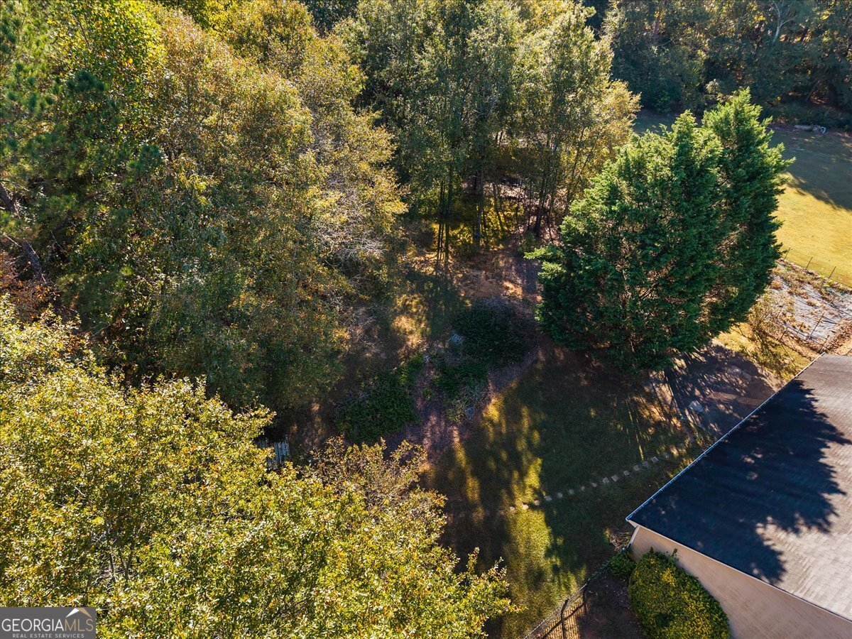 4520 Lafayette Lane Loganville - 24