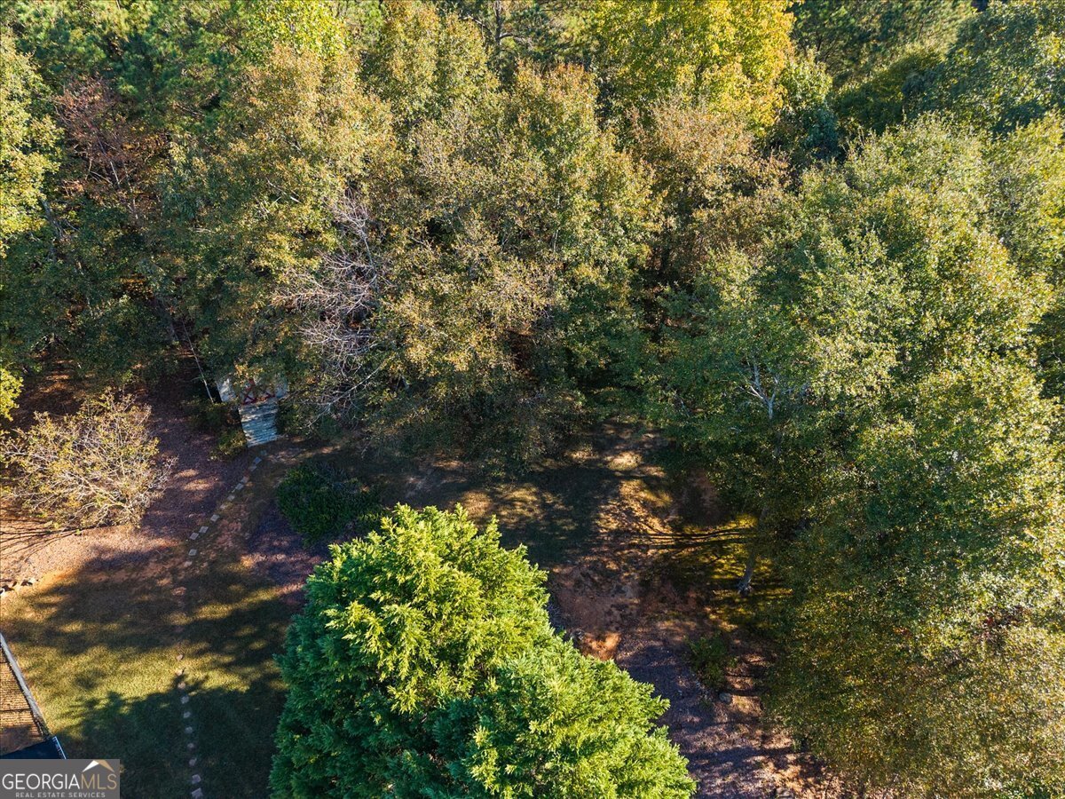 4520 Lafayette Lane Loganville - 37