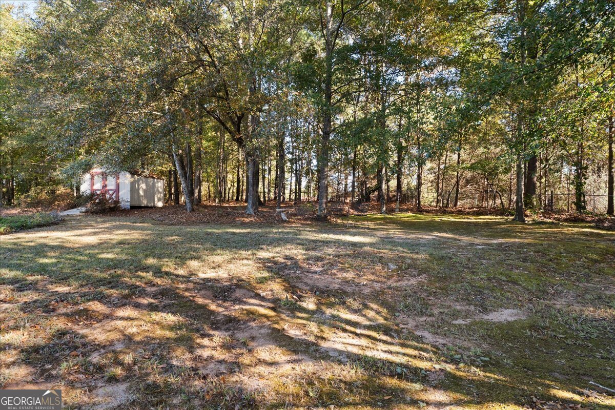 4520 Lafayette Lane Loganville - 4