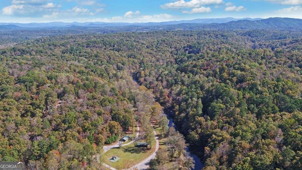 941 Centergate Drive Ellijay - 56