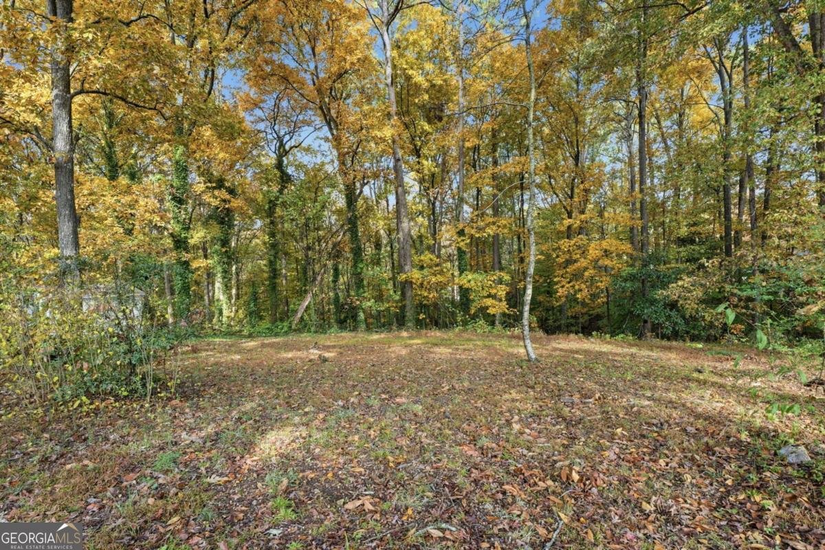 4319 Parkview Drive Lithia Springs - 11