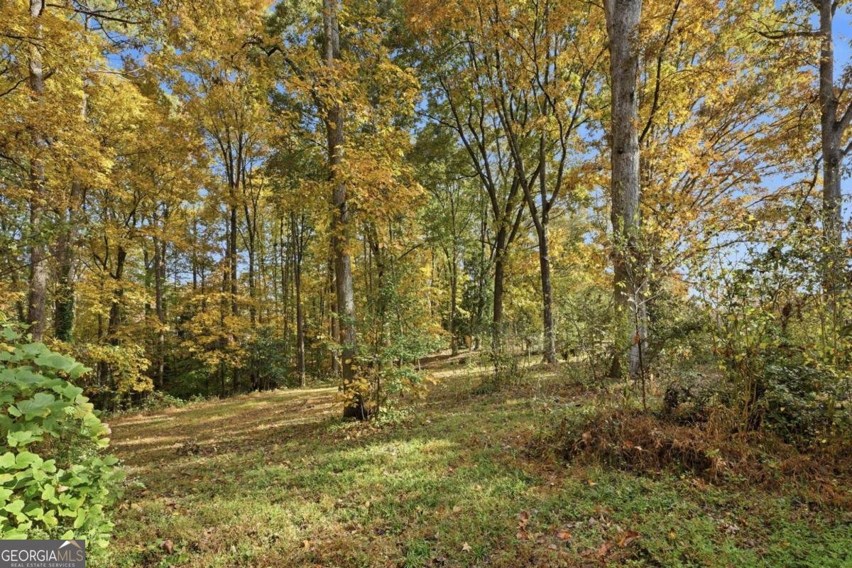 4319 Parkview Drive Lithia Springs - 13