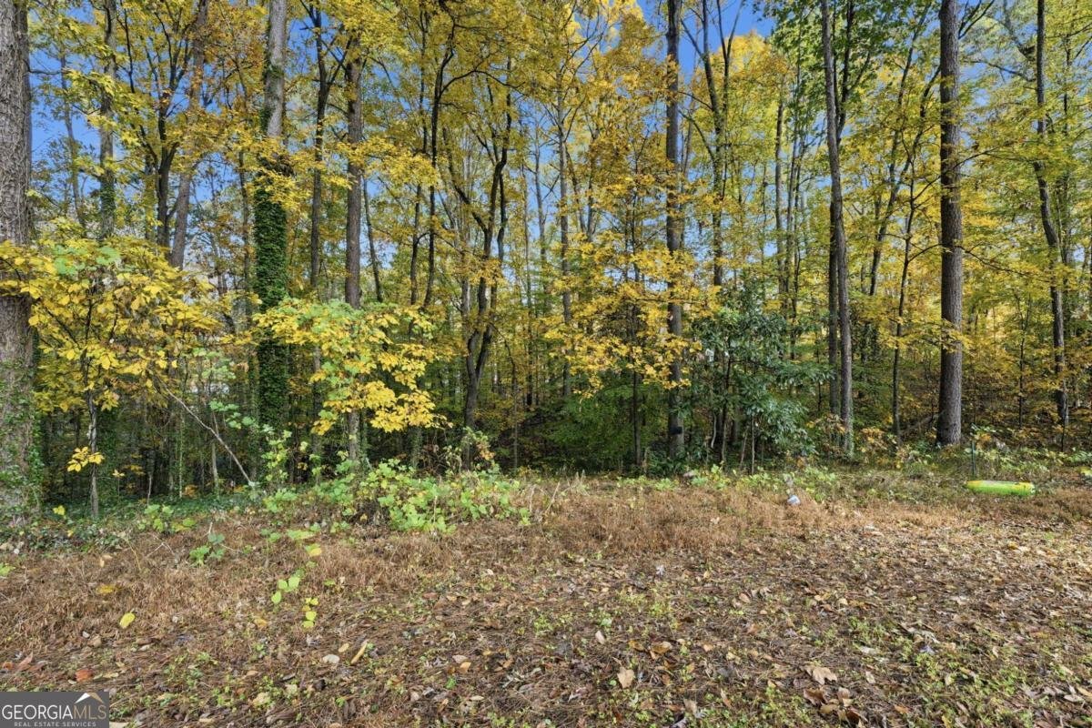 4319 Parkview Drive Lithia Springs - 14