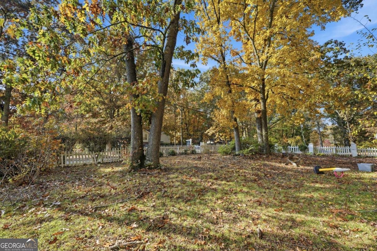 4319 Parkview Drive Lithia Springs - 22