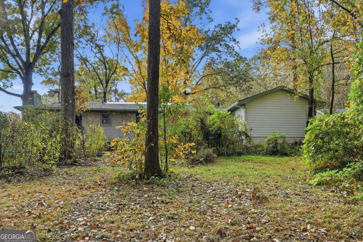 4319 Parkview Drive Lithia Springs - 9