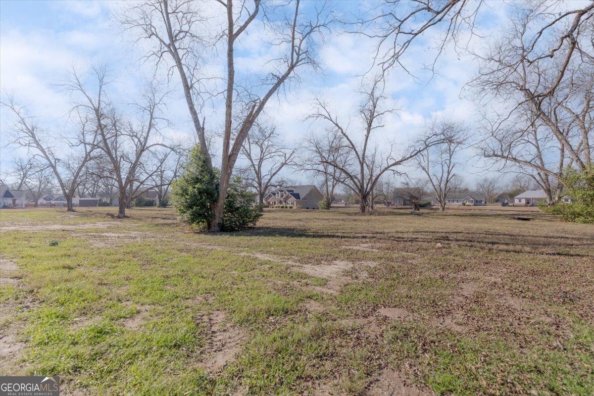 134 Easy Street Cochran - Photo 48