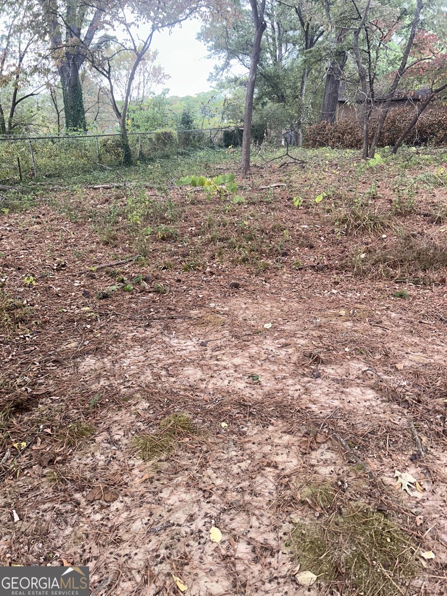 804 Linda Way Forest Park - 19