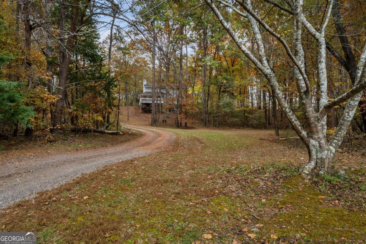 1062 Bethel Church Road Silver Creek - 52