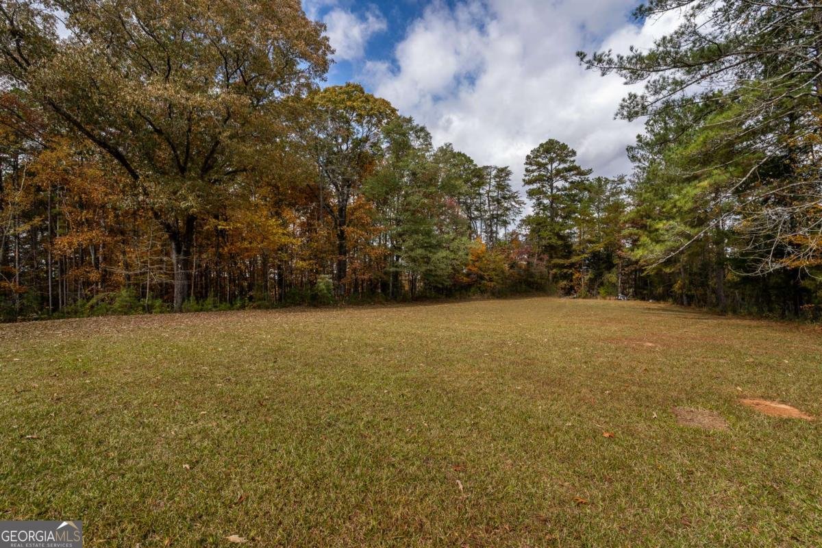 1062 Bethel Church Road Silver Creek - 53