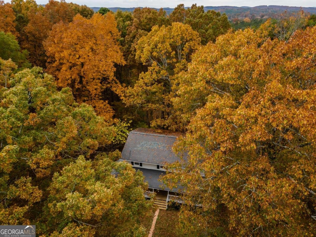 1062 Bethel Church Road Silver Creek - 57