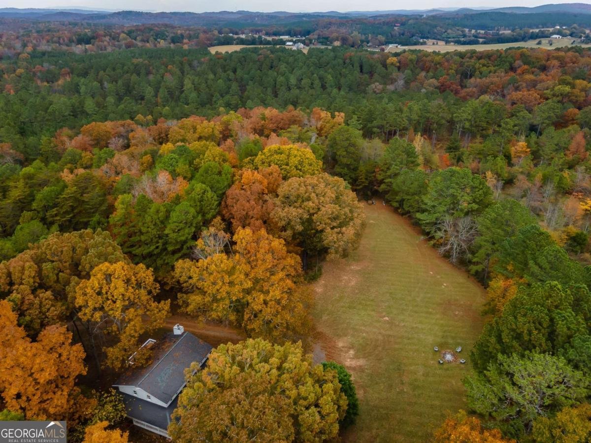 1062 Bethel Church Road Silver Creek - 58