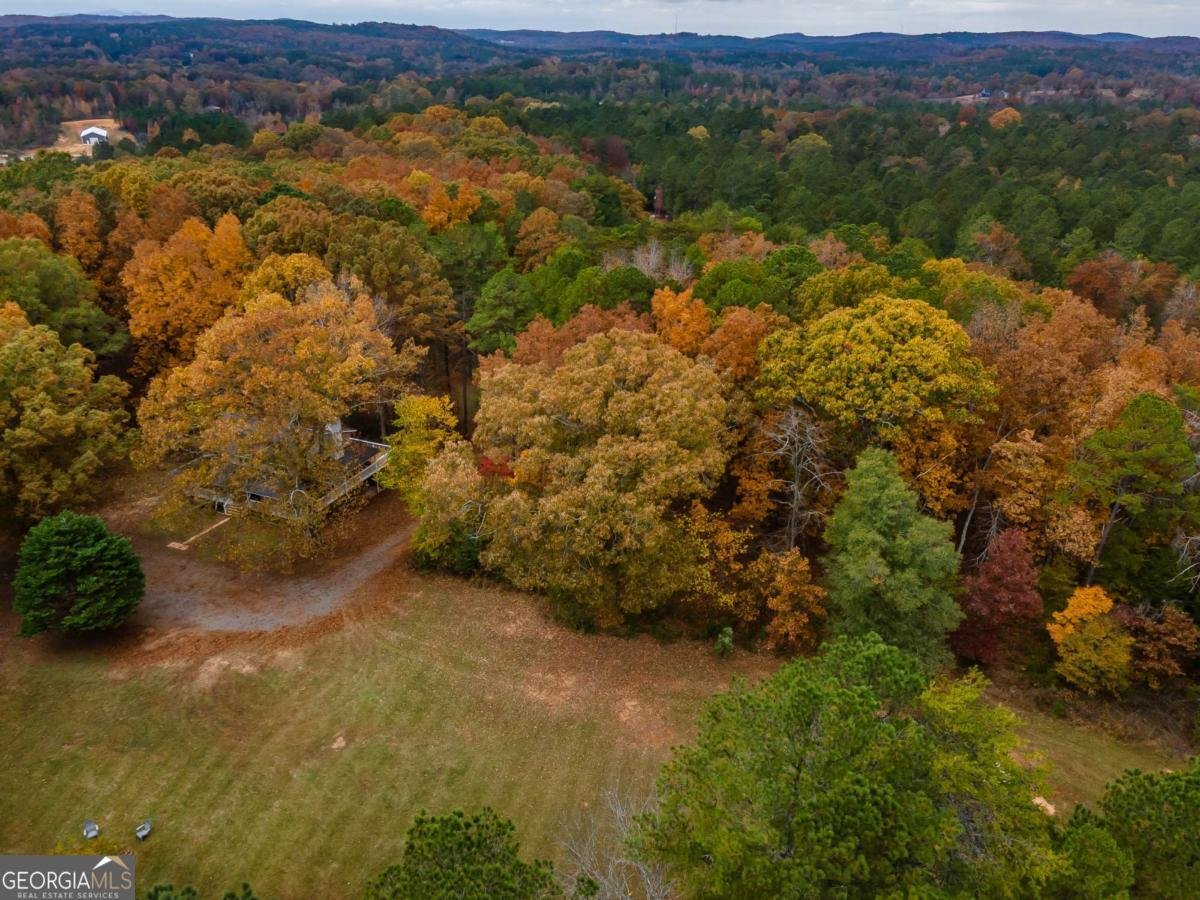 1062 Bethel Church Road Silver Creek - 60