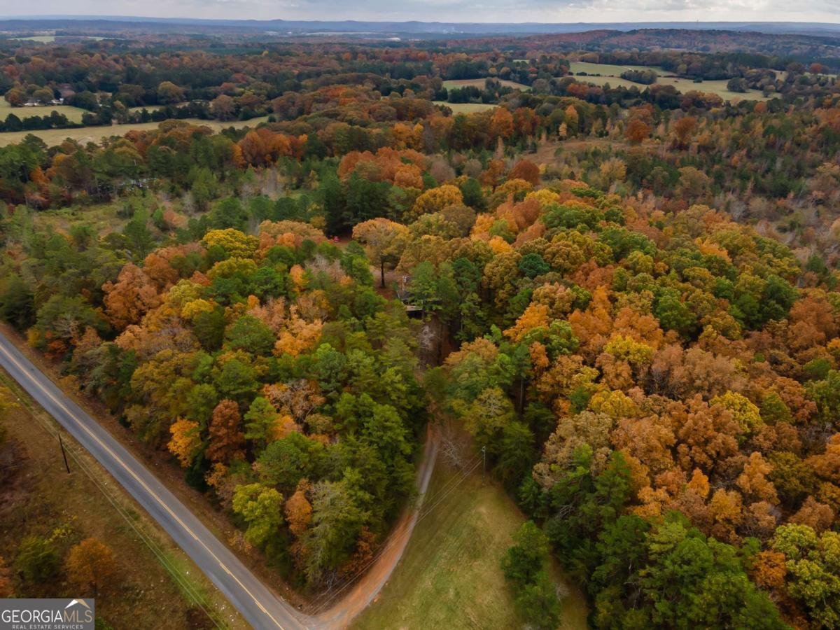 1062 Bethel Church Road Silver Creek - 63