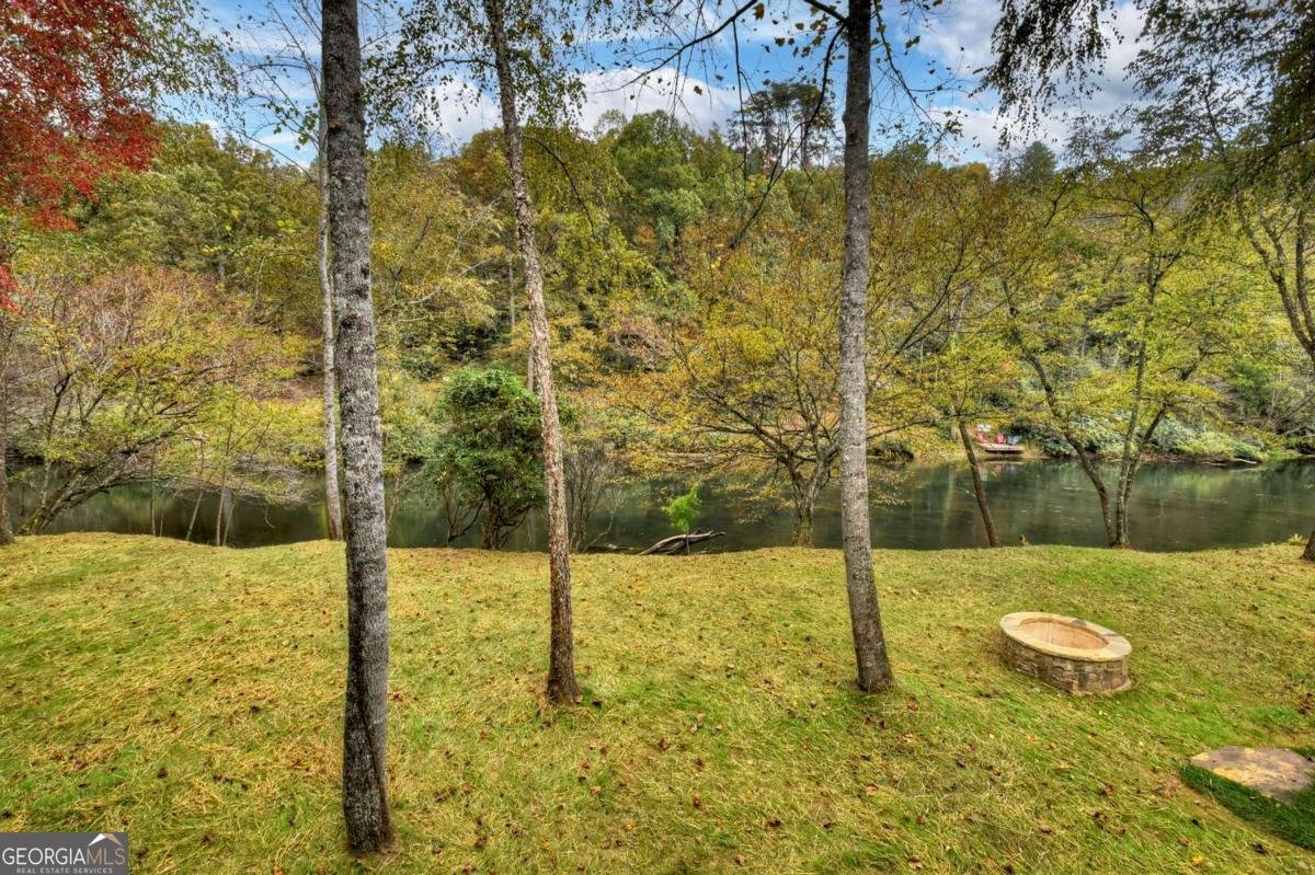 577 Blackberry Mineral Bluff - 39