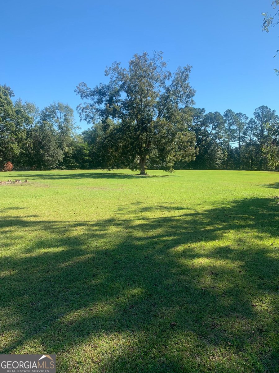 1161 Savannah Hwy Sylvania - 31