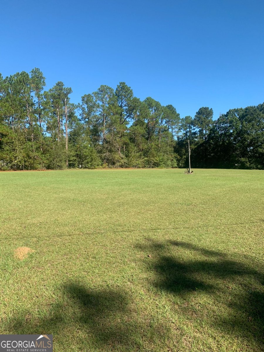 1161 Savannah Hwy Sylvania - 33