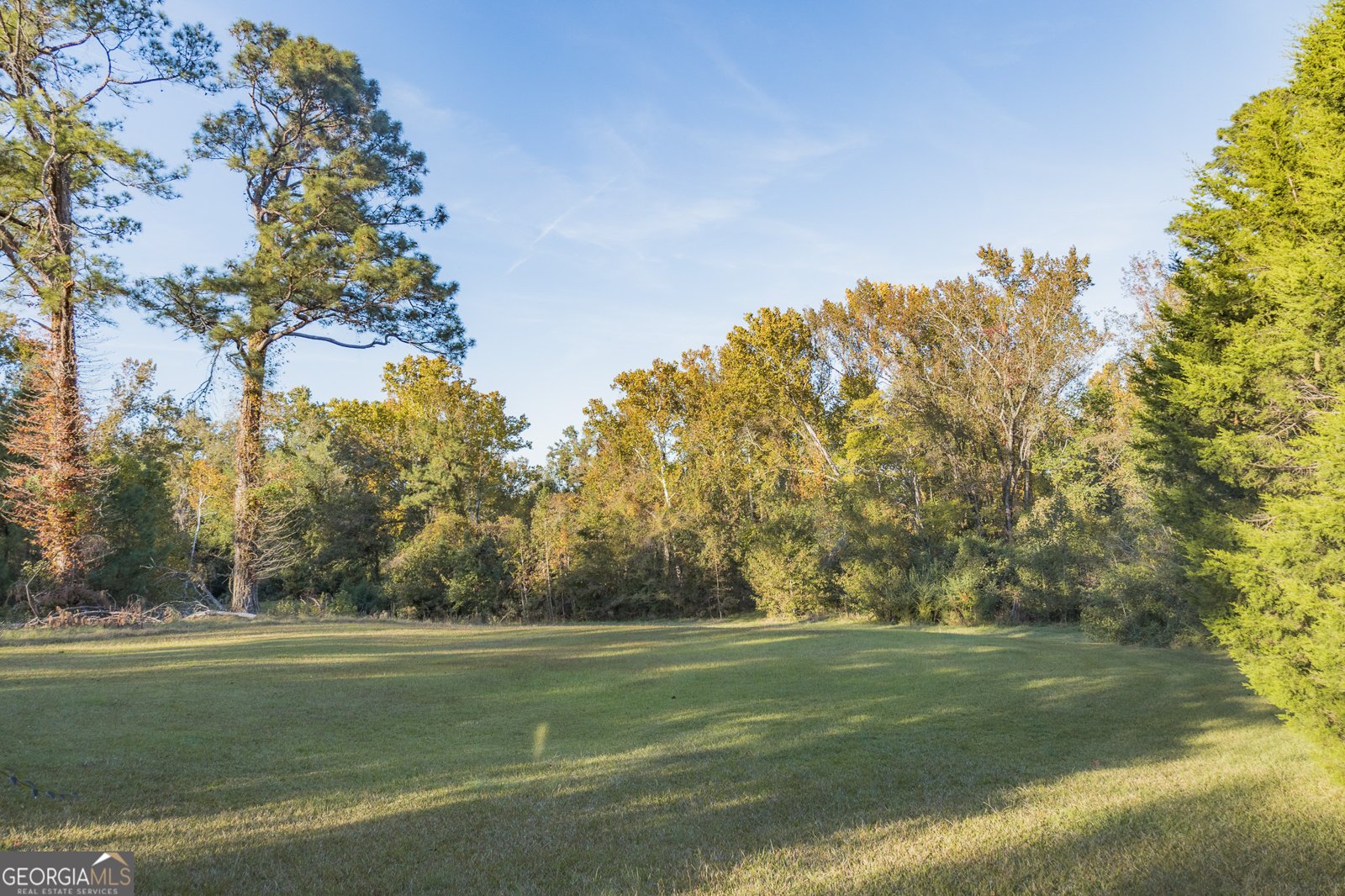 341 Azalea Avenue Millen - 4