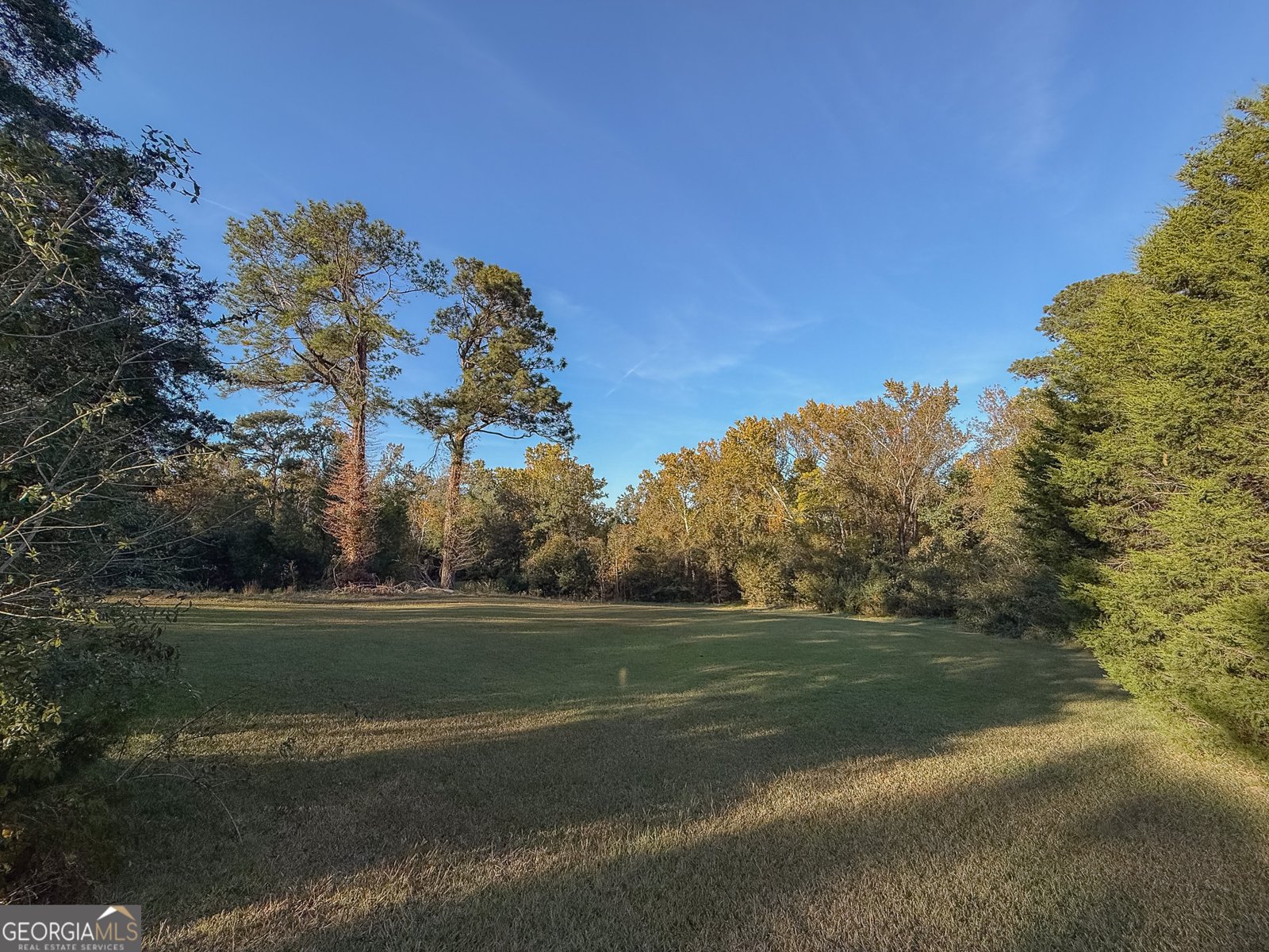 341 Azalea Avenue Millen - 55