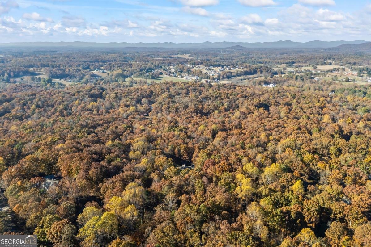 2904 Westwood Trail Gainesville - 15