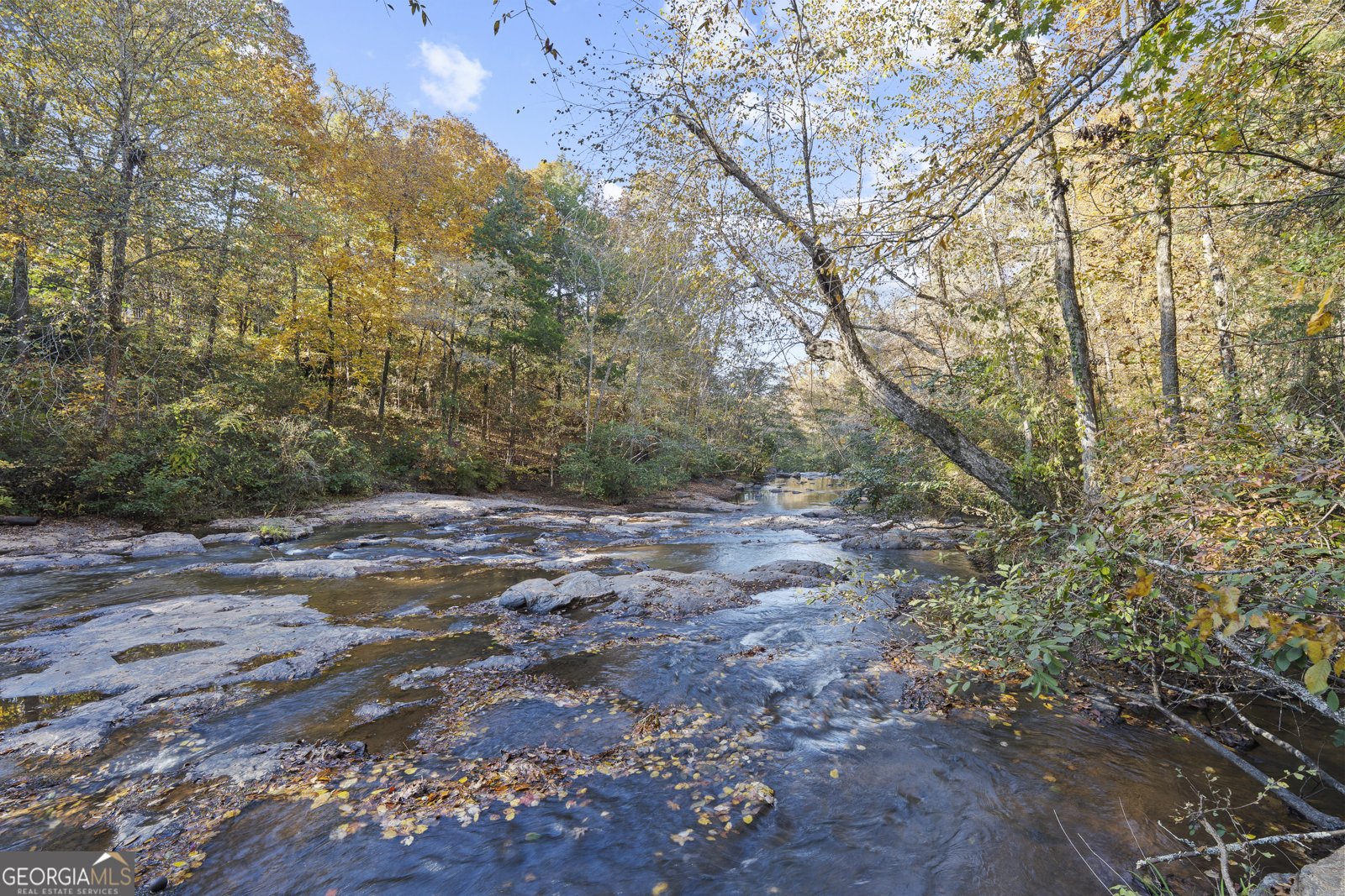 4686 Johnstonville Road Forsyth - 8