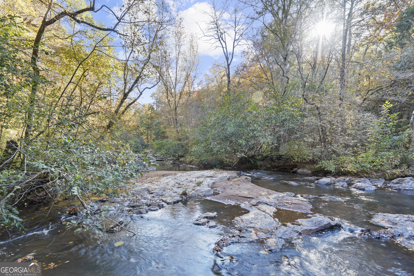 4686 Johnstonville Road Forsyth - 9