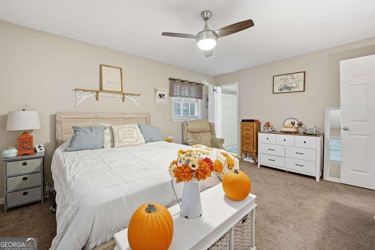 3165 GOODE Road Conyers - 24