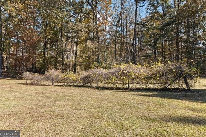 12005 Hamilton Road Chattahoochee Hills - 41