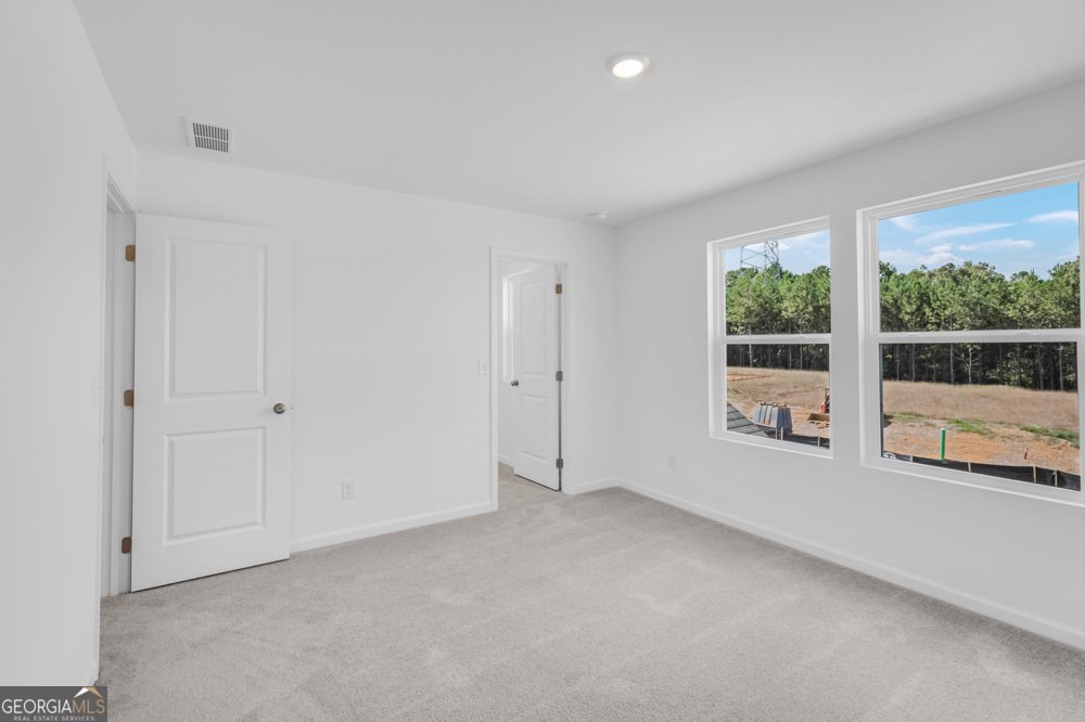 1315 Windance Lake Drive Loganville - 20