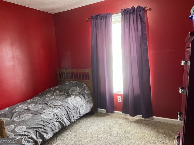 1550 Blossom Drive Atlanta - 17