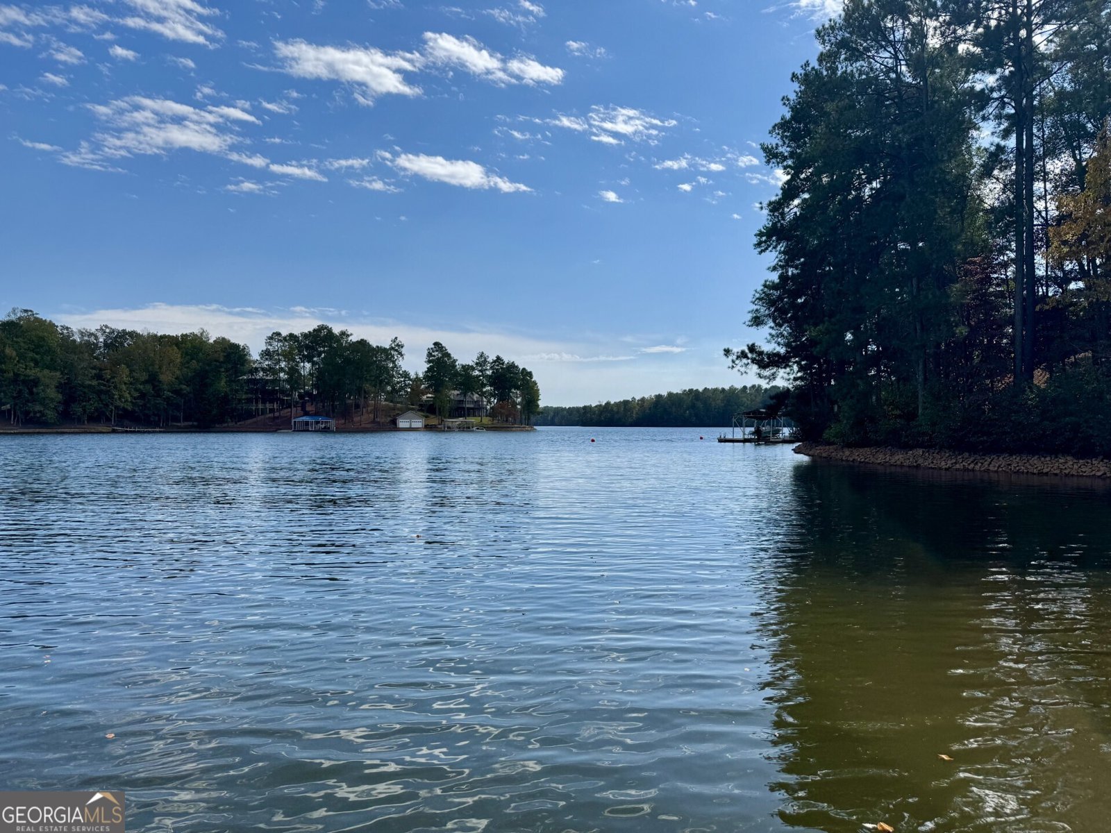 4481 County Road 99 Wedowee - 3