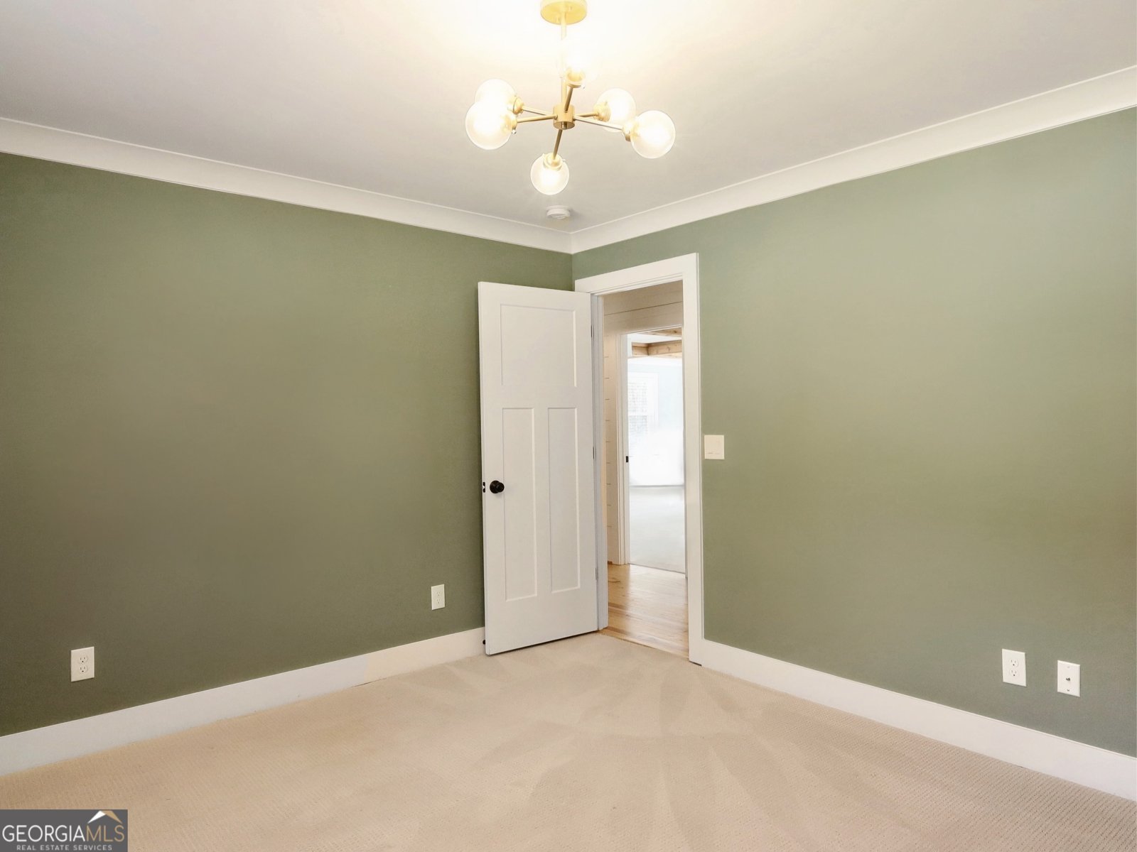 4925 Cook Road Stockbridge - 19