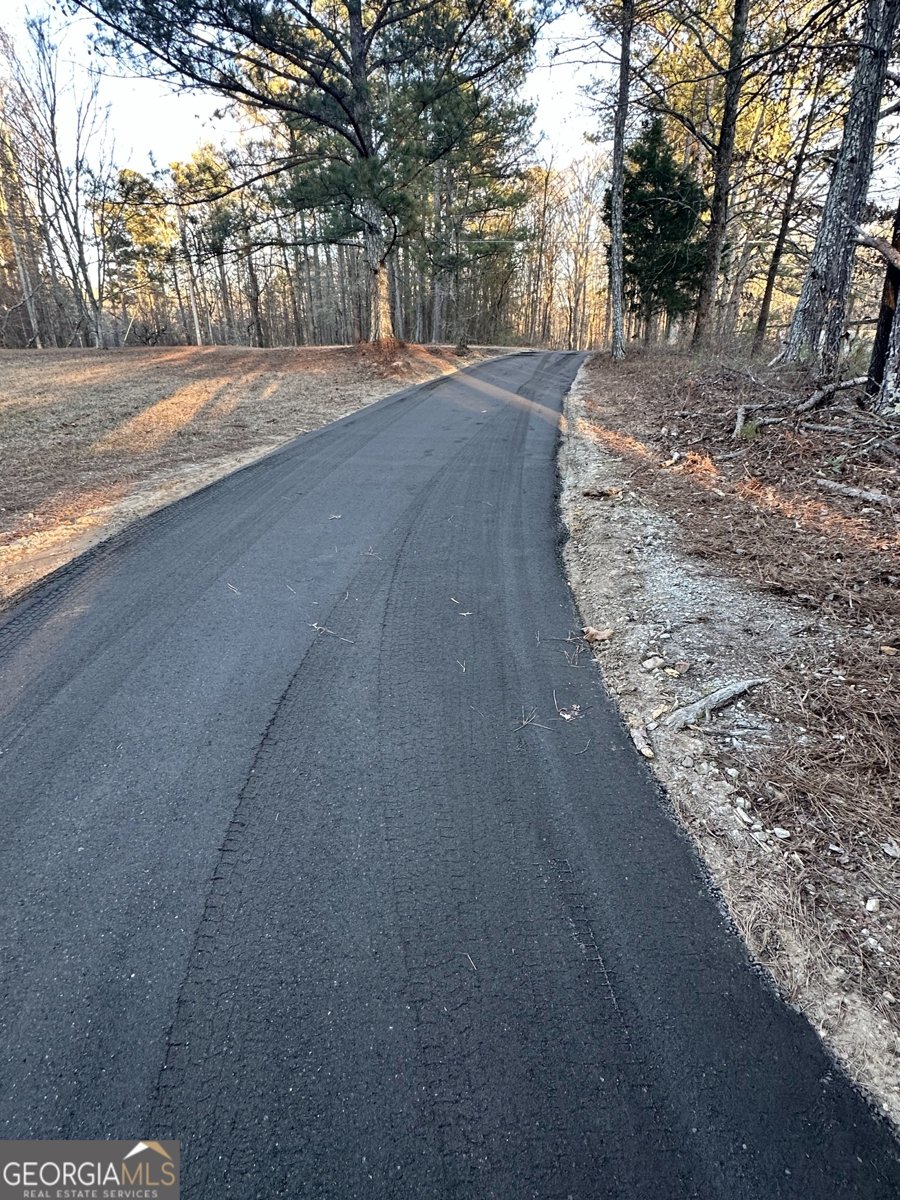 4925 Cook Road Stockbridge - Photo 34