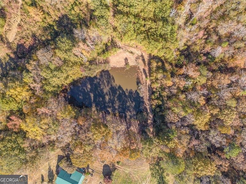 1288 REAVESVILLE Road Bowdon - 21