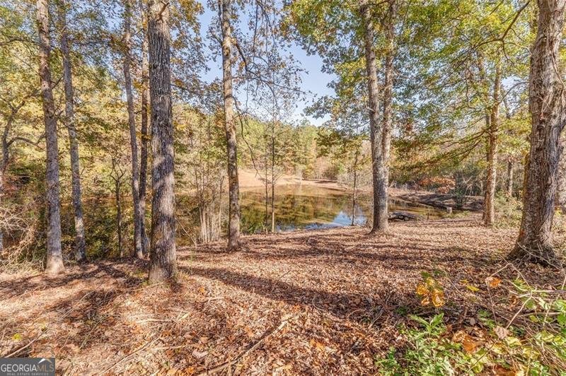 1288 REAVESVILLE Road Bowdon - 23