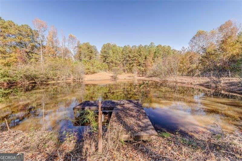 1288 REAVESVILLE Road Bowdon - 24