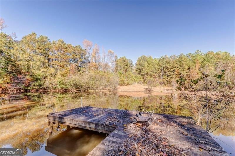 1288 REAVESVILLE Road Bowdon - 25