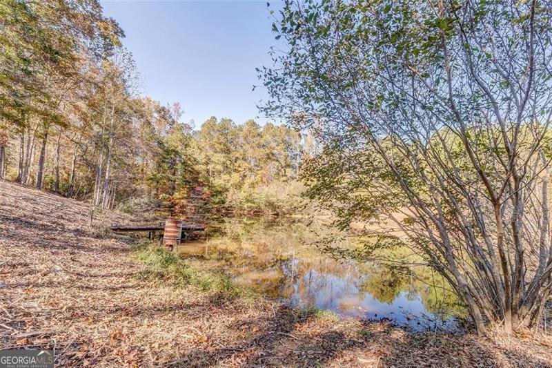 1288 REAVESVILLE Road Bowdon - 26