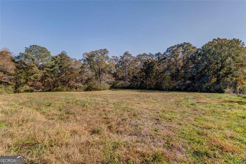 1288 REAVESVILLE Road Bowdon - 27