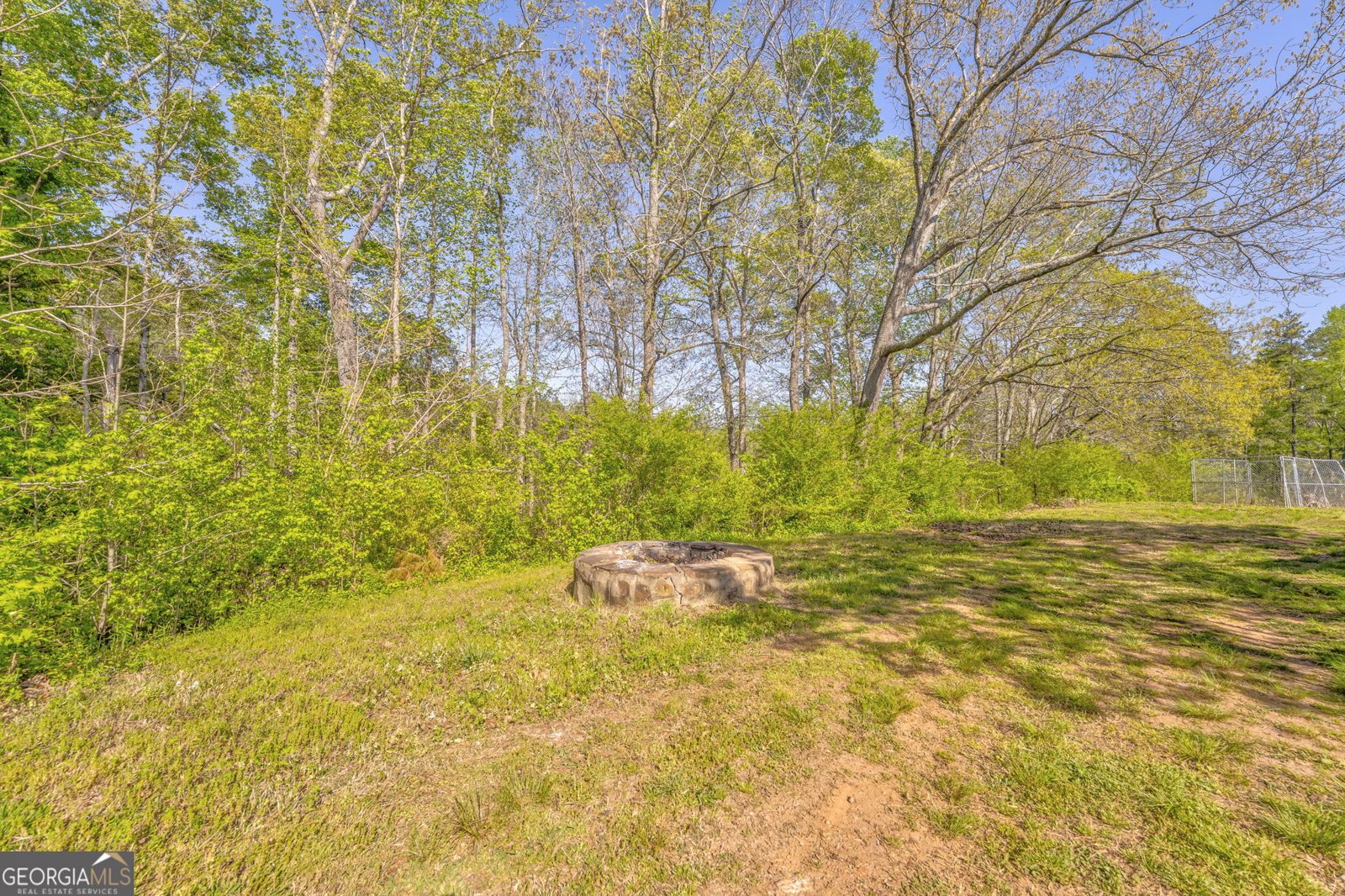 1288 REAVESVILLE Road Bowdon - 3