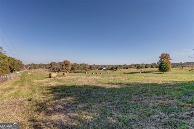 1288 REAVESVILLE Road Bowdon - 37