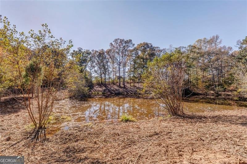 1288 REAVESVILLE Road Bowdon - 38