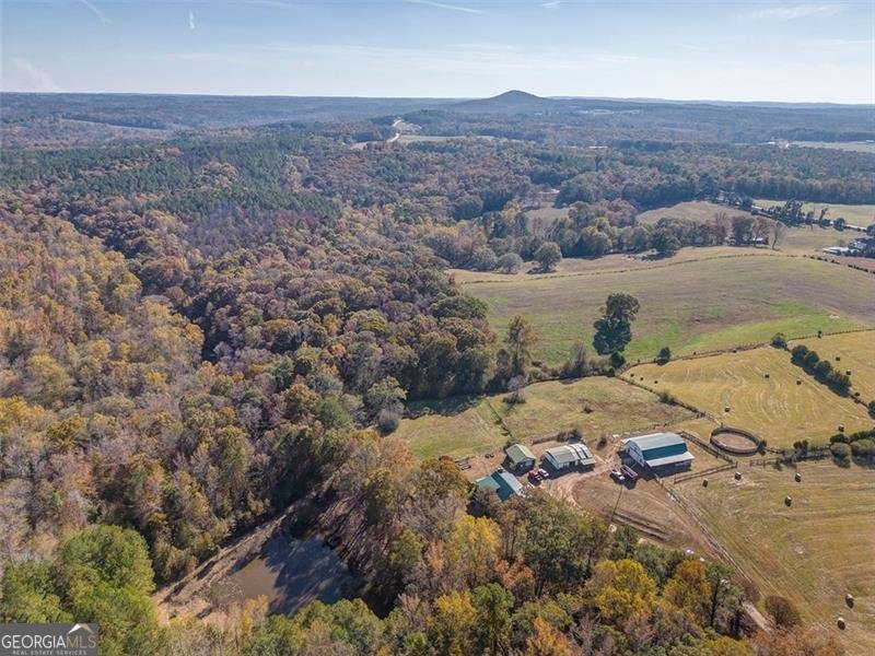 1288 REAVESVILLE Road Bowdon - 8