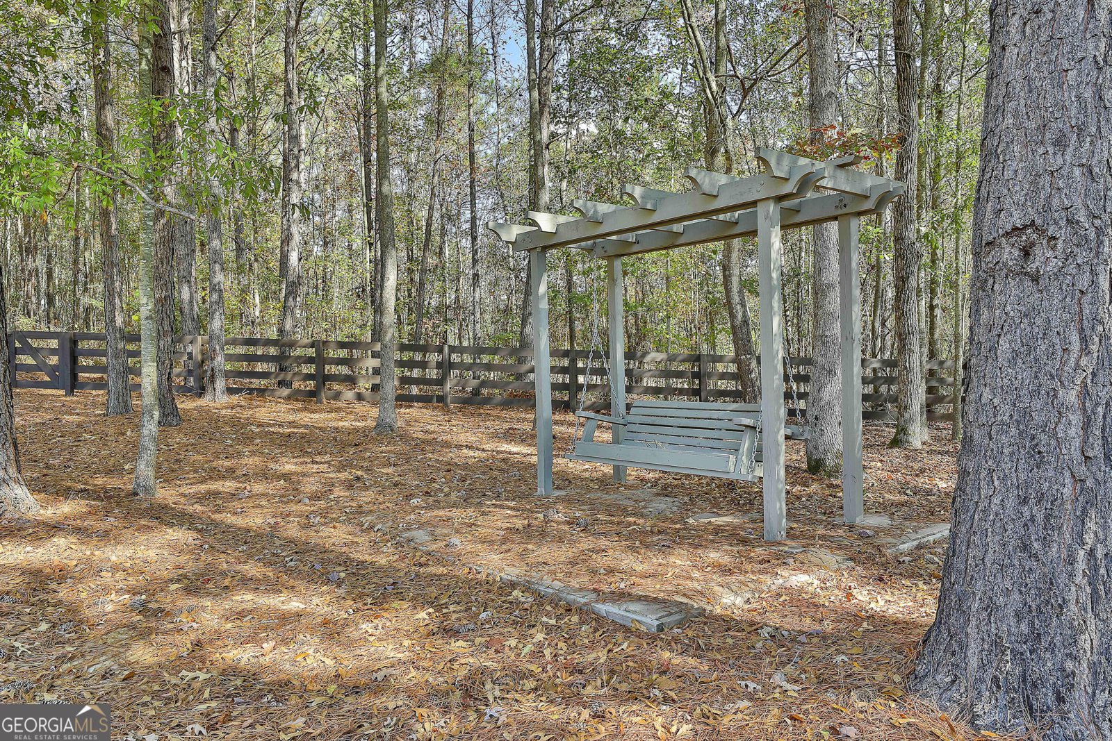 143 Linchwood Drive Senoia - 17