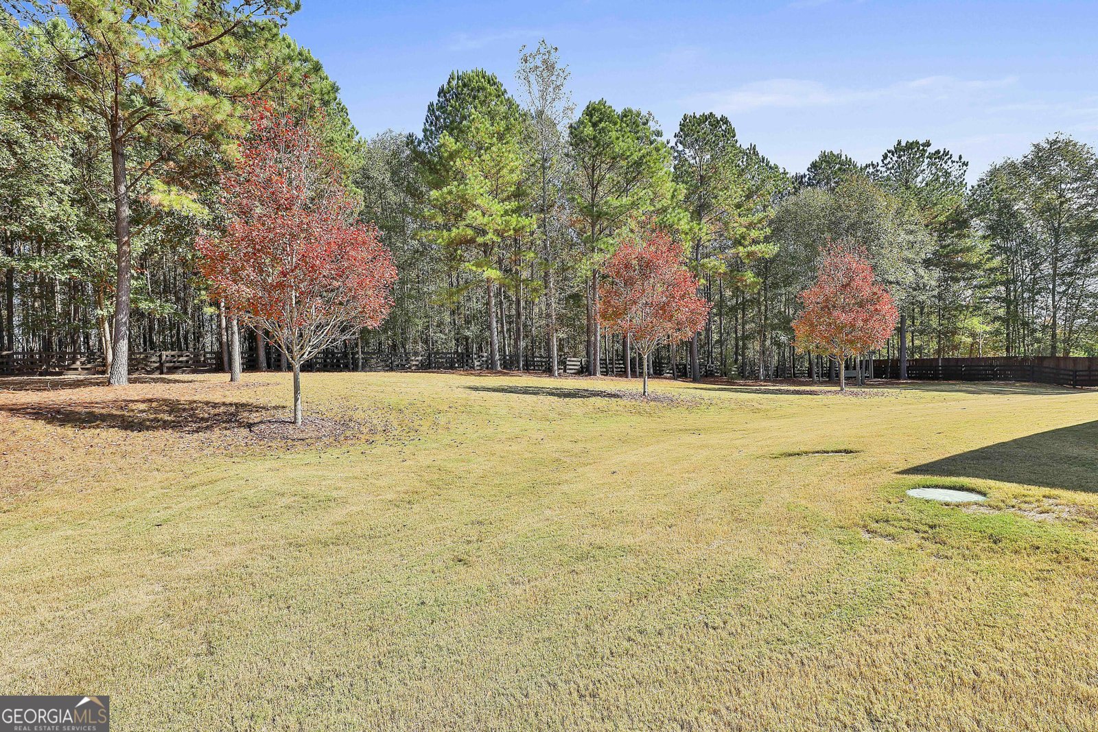 143 Linchwood Drive Senoia - 51