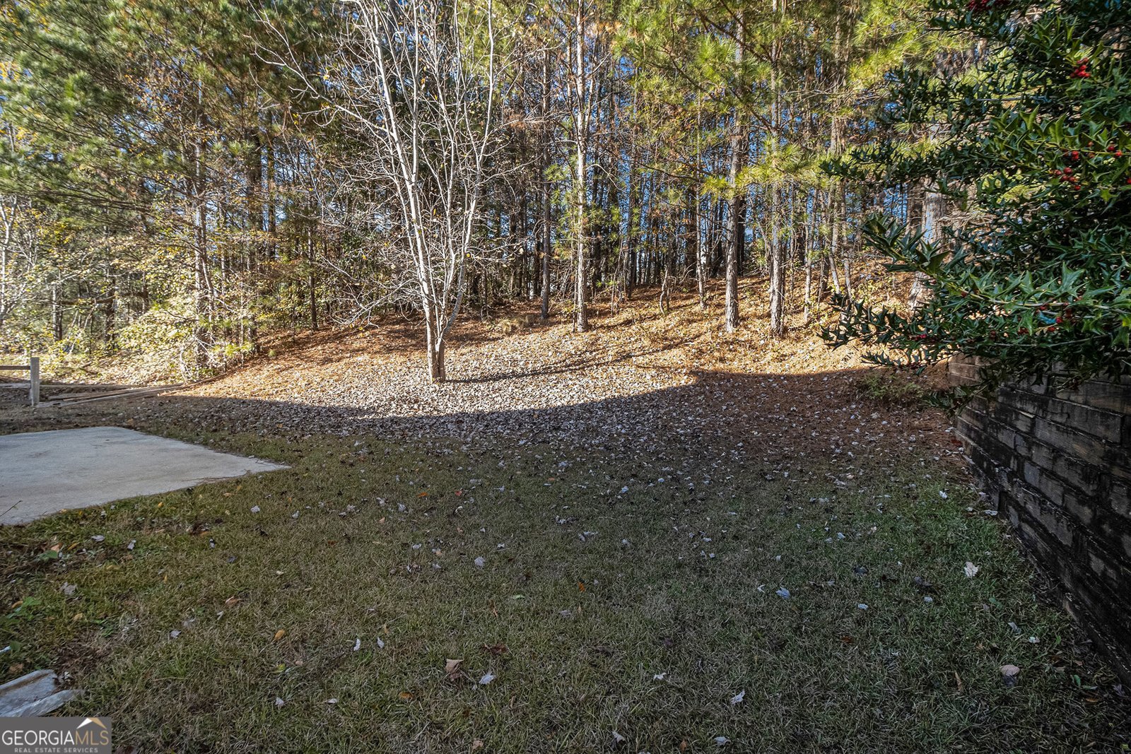 3116 Leyland Court Decatur - 27