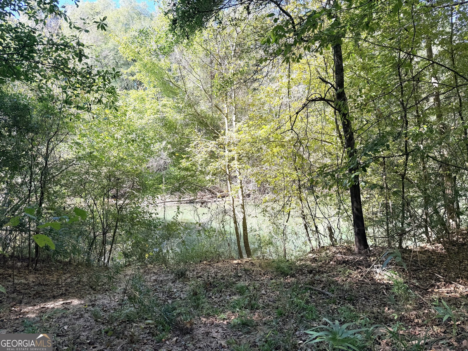 0 Towaliga South Road Jackson - 10