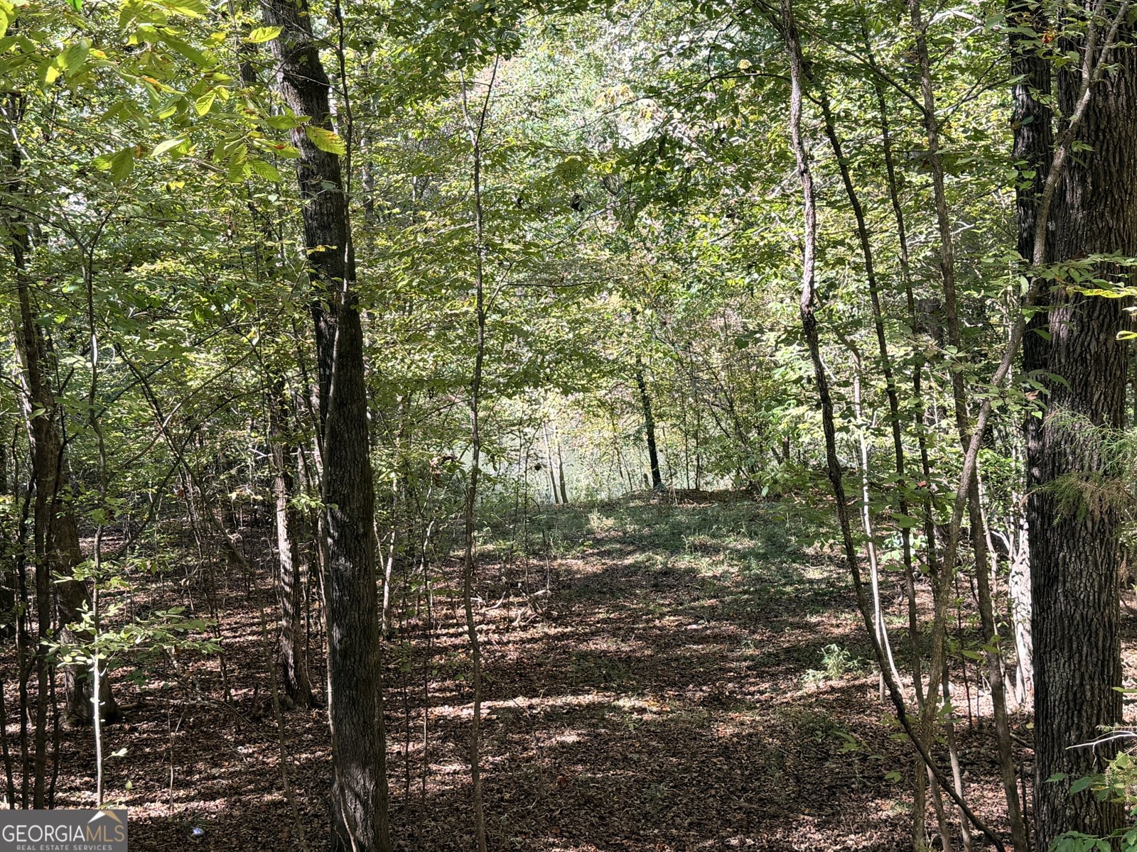 0 Towaliga South Road Jackson - 16