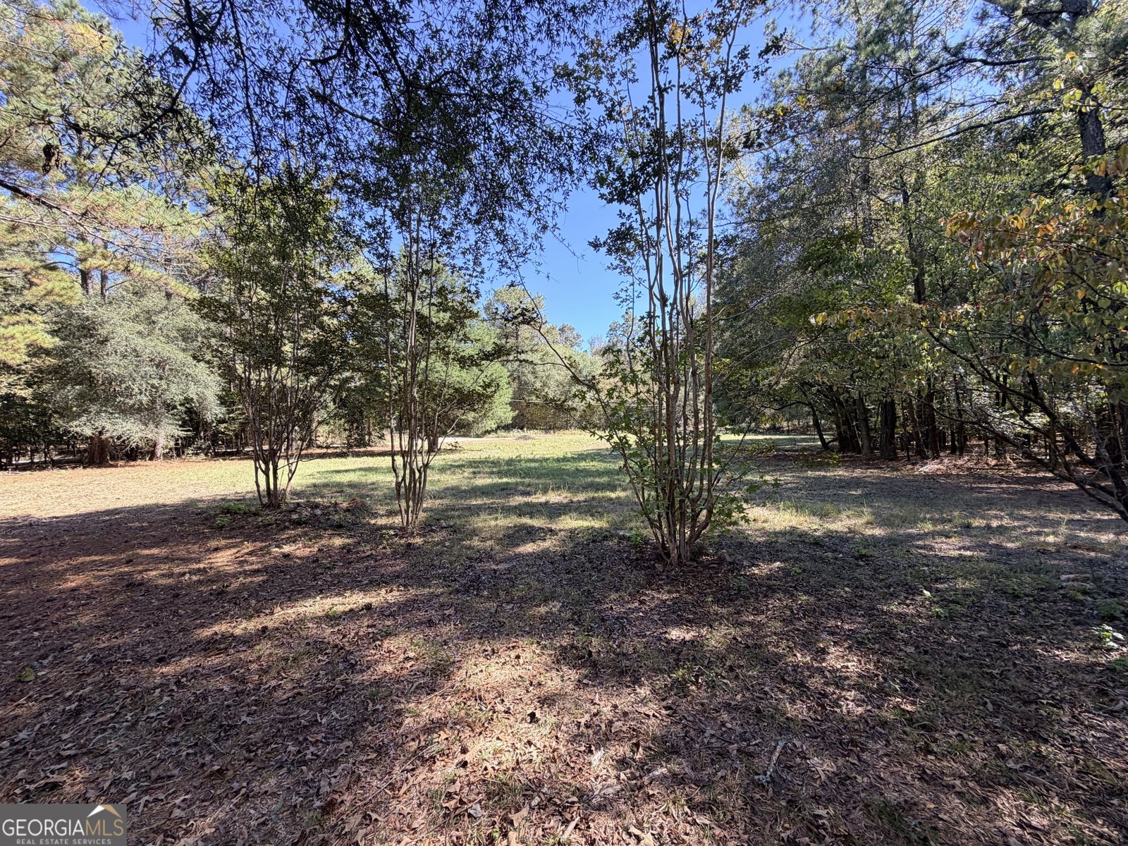 0 Towaliga South Road Jackson - 2